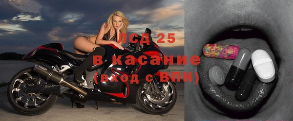 индика Абаза