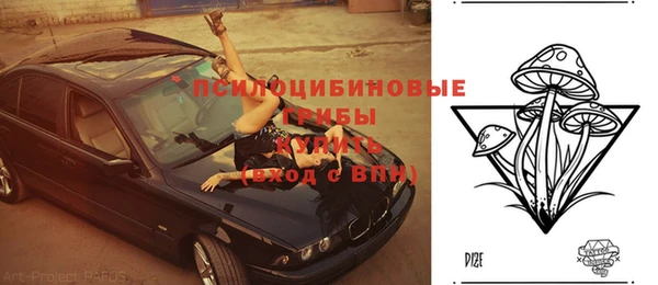 твердый Протвино