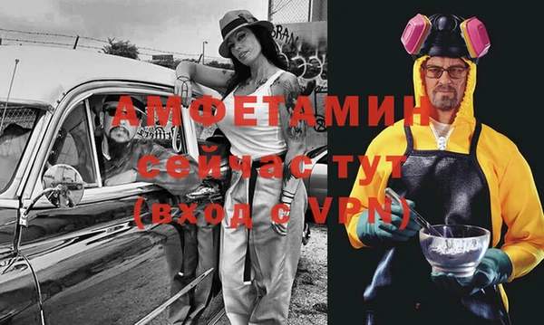 индика Абаза