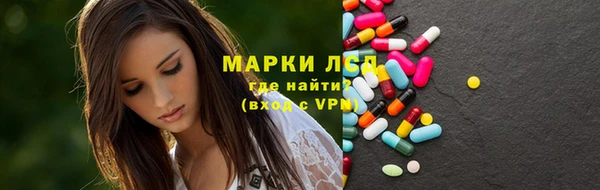 индика Абаза