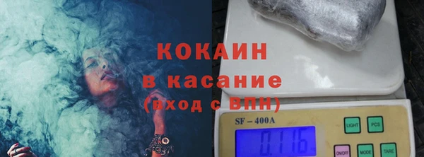 твердый Протвино