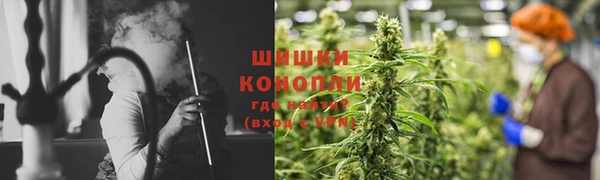 индика Абаза