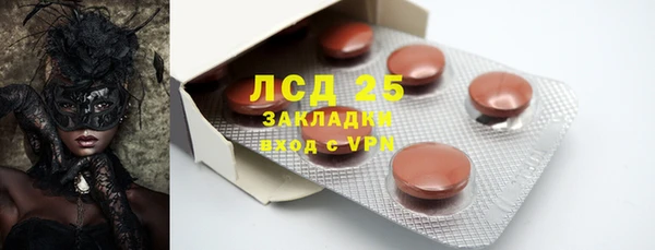 индика Абаза