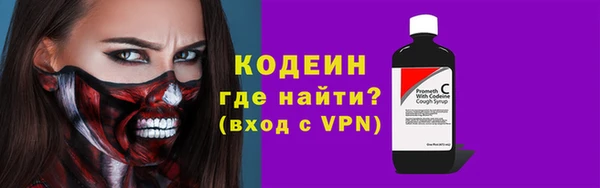индика Абаза