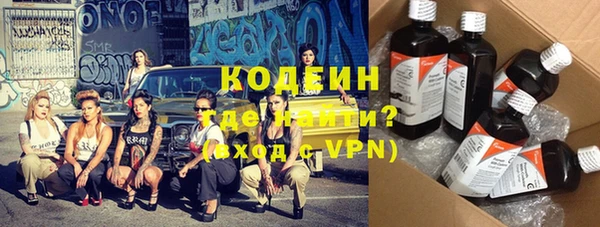 индика Абаза