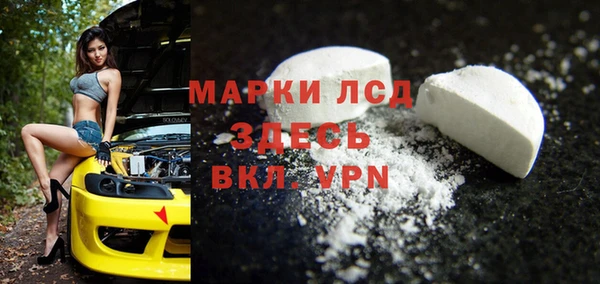индика Абаза