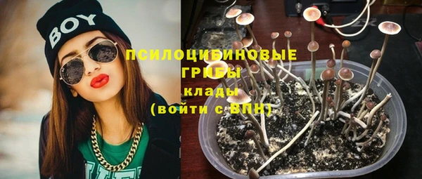 индика Абаза