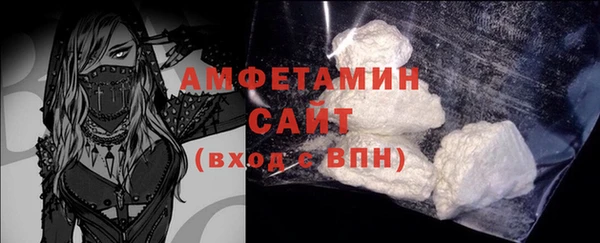 сатива Ельня